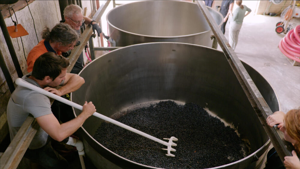 Moss Wood winery workers stirring a vat of fresh grapes